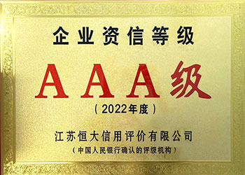 Enterprise Credit Rating AAA